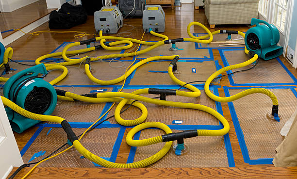 Professional Flood Damage Restoration technician working in Redfield, IA